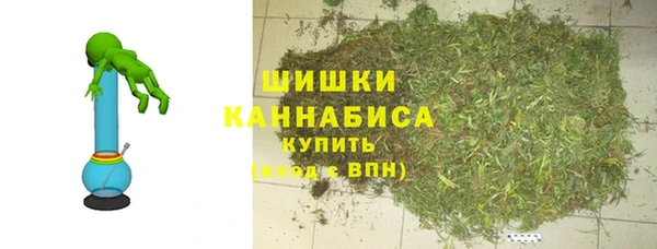 винт Анива
