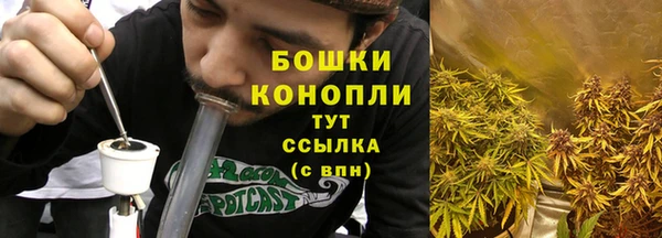 винт Анива
