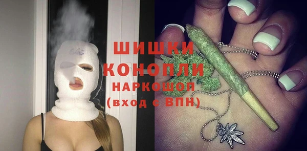 сатива Анжеро-Судженск