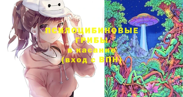 винт Анива