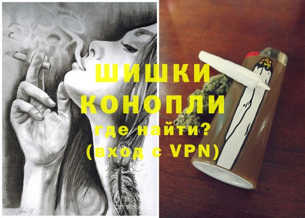 сатива Анжеро-Судженск